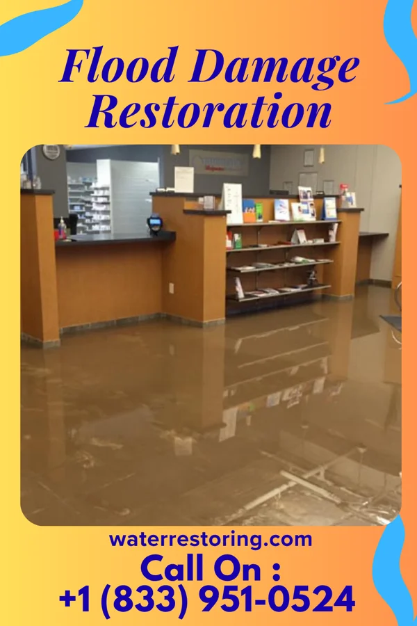 Flood Damage Restoration in Millville, DE