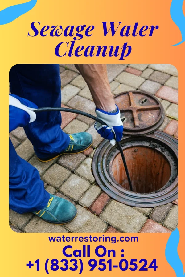 Sewage Water Cleanup in Millville, DE